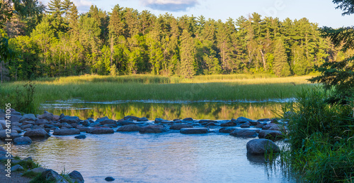 Obraz na płótnie The Source or beginning or start of the Mississippi River at Lake Itasca in Minnesota. Water, trees, reeds, rocks and shoreline in evening light. w salonie