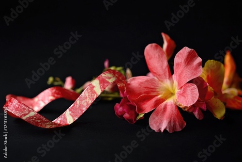 A single pink flower sits atop a red ribbon against a dark, matte black surface photo