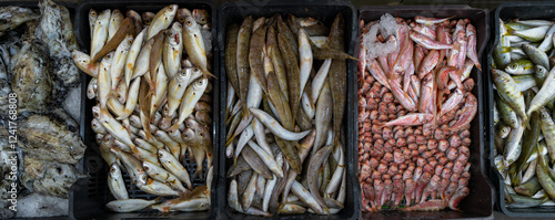 Fish market of Tripoli in Libya