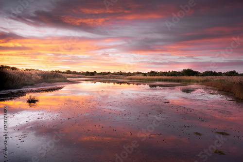 USA, New Jersey, Cape May National Seashore. Sunrise on marsh.