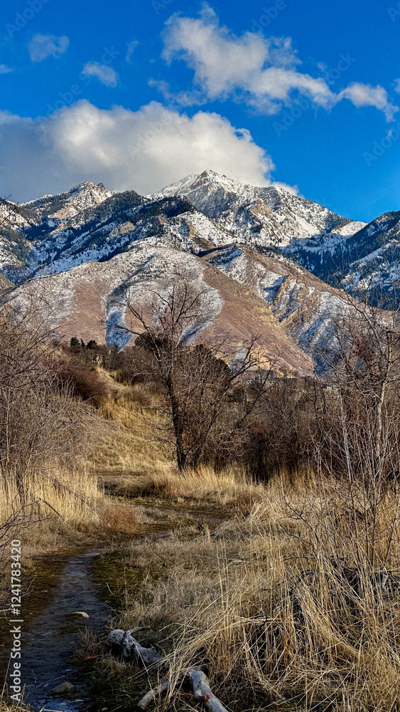 Snow-Dusted Mountain with Dry Grass and Hiking Trail Snow-Dusted Mountain with Dry Grass and Hiking Trail