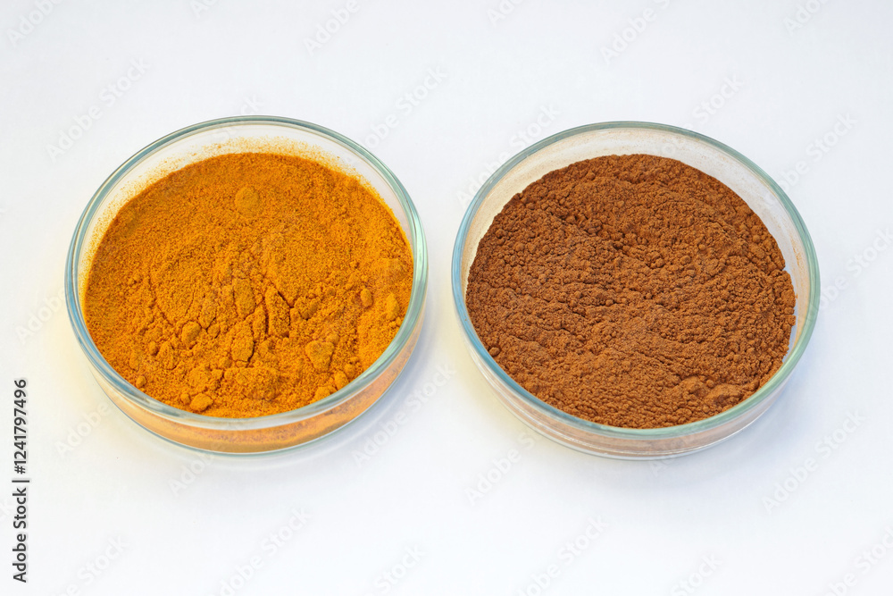 Turmeric powder and cinnamon powder in a petri dish, white background Turmeric powder and cinnamon powder in a petri dish, white background