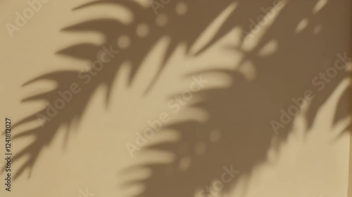 loop video tropical jungle tree travel effect beach shadows leaf wall silhouette abstract branch sunshine plant color tropics leaves texture shadow background palm sand natural beige sunny foliage