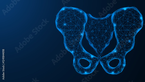 Human pelvic bones. Polygonal design of interconnected elements. Blue background.
