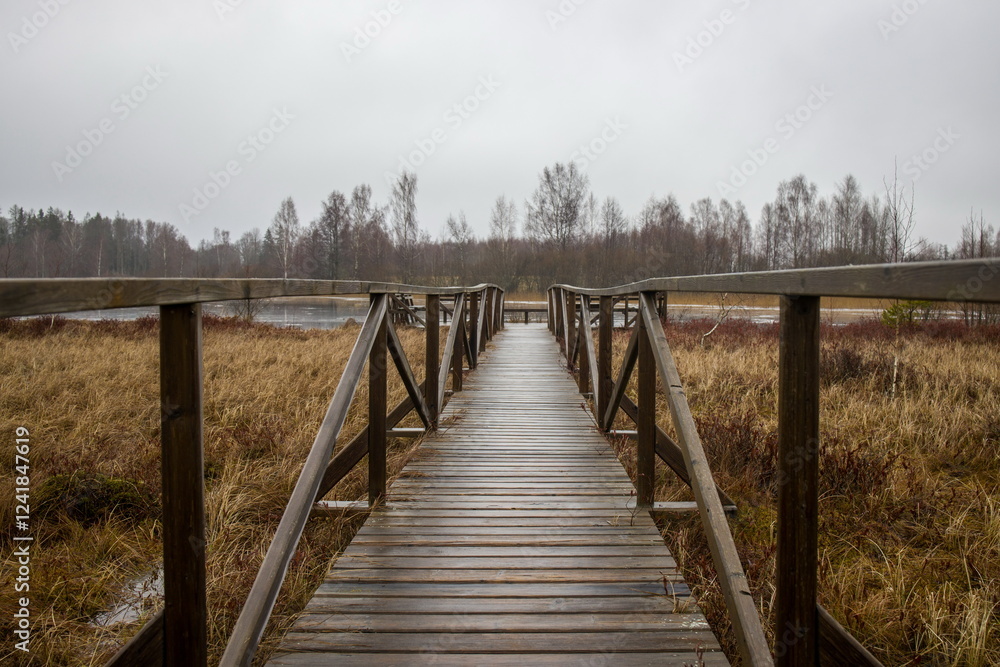 Naklejka premium Wooden walkway or boardwalk through a marshy or wetland landscape.