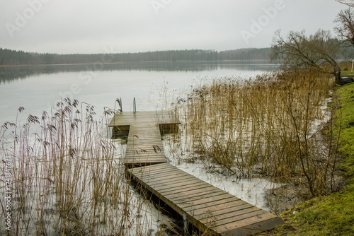 Wooden dock extending into a tranquil lake with reeds and trees. Peaceful and serene nature scene.