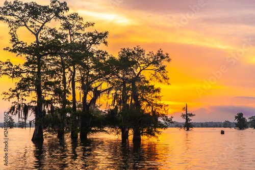 USA, Louisiana, Atchafalaya...