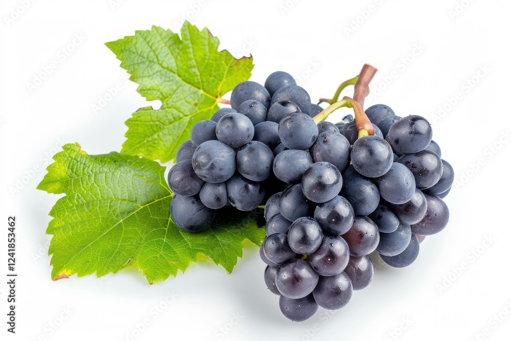 Fototapeta premium Ripe black grapes with fresh green leaves create a vibrant display against a clean white backdrop