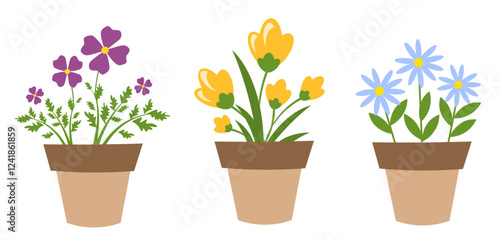 A set of flowerpots with different flowers on a white background.
