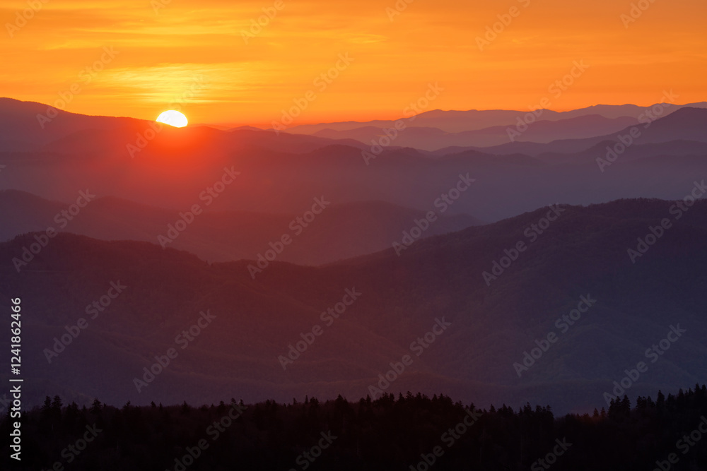 Obraz premium Spring sunrise view of mountains and mist, from Clingmans Dome area, Great Smoky Mountains National Park, North Carolina