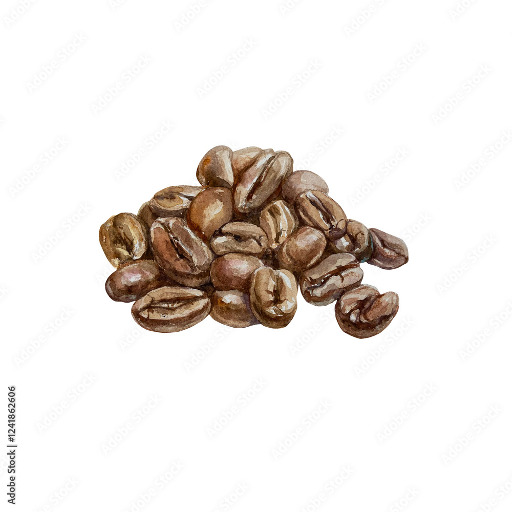 Obraz premium Coffee beans roasted and aromatic. Hand drawn watercolor illustration of brown Arabica isolated. Drink labels, packages, menus, covers, cafe banners.