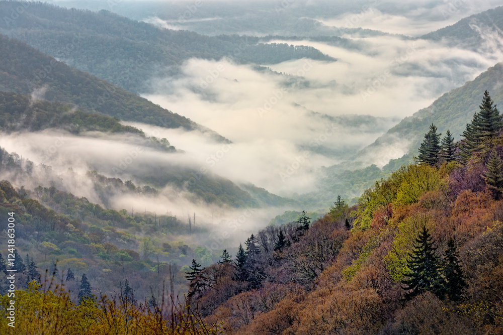 Fototapeta premium Morning spring view of Oconaluftee Valley with rising mist, Great Smoky Mountains National Park, North Carolina