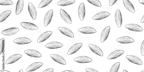 Seamless pattern with almonds in sketch style. Black and white engraved almond isolated on white background. Background with hand drawn nuts