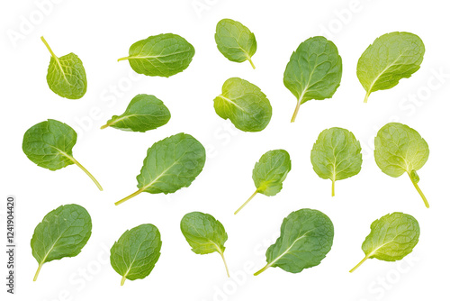 Set of fresh mint leaves on white background