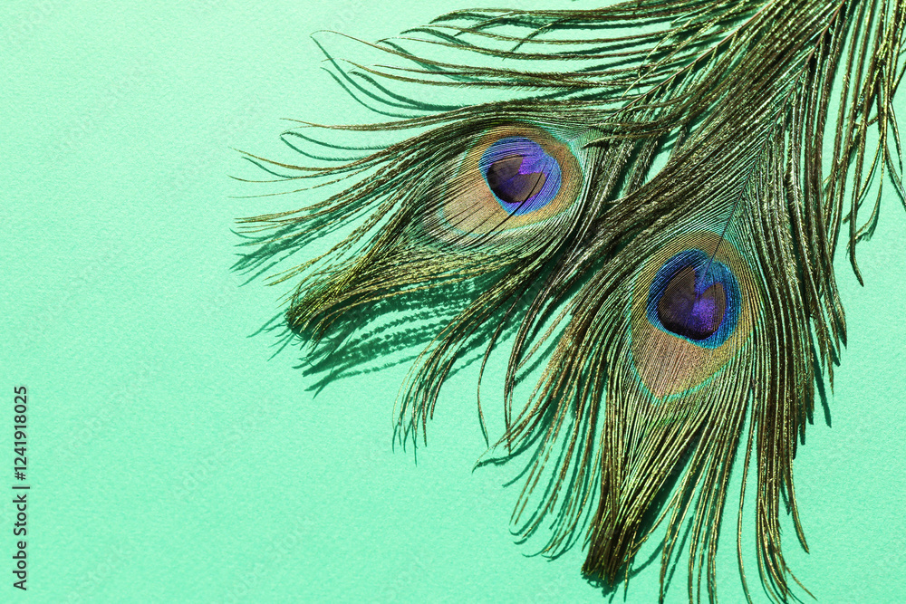 Naklejka premium Two beautiful peacock feathers on turquoise background, top view. Space for text