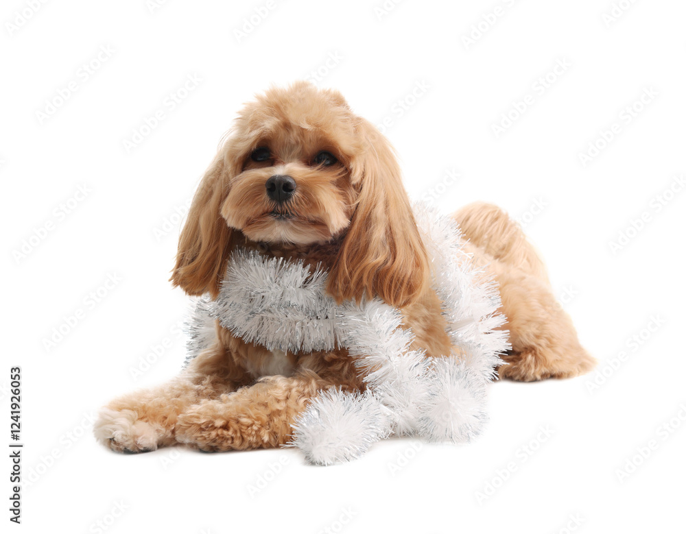 Cute dog with shiny tinsel on white background Cute dog with shiny tinsel on white background