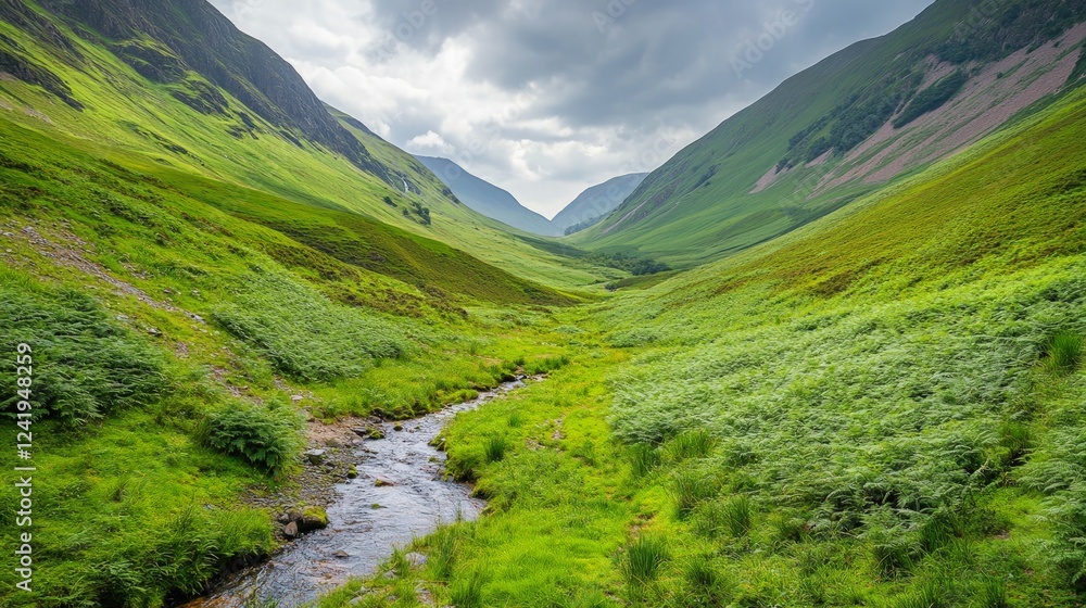 Naklejka premium Serene Green Valley with Stream and Cloudy Sky at Dusk
