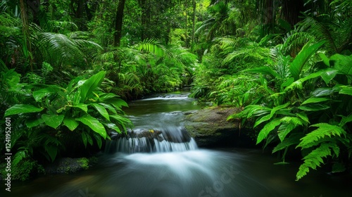 Lush Tropical Rainforest with Stream Flowing Through Green Foliage