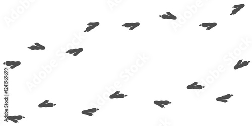 Vector trail print of bird isolated on white background.  Footprint silhouette tracks of Ostrich. Paw Print. Vector illustration. EPS10.