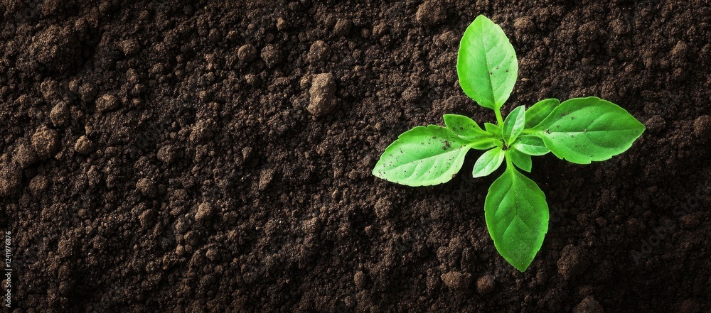 Naklejka premium Young sprout in rich soil, growth, agriculture, background