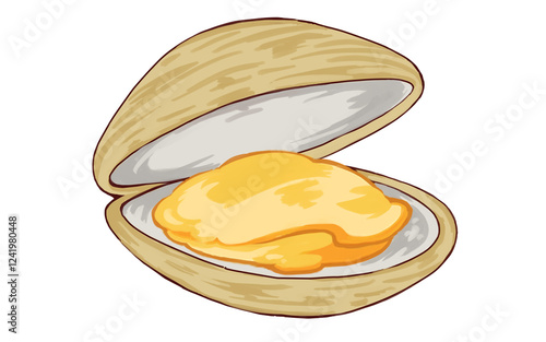 Hand Painted Clam Illustration - Open Shell with Meat on White Background