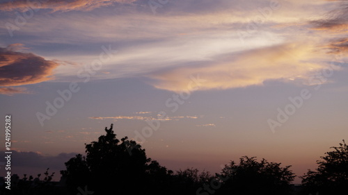 Atardecer rosa y arboles photo