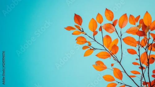Autumn leaves branch against blue sky, nature background