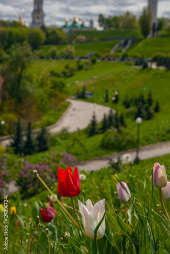 Kyiv city view flom park Slavy ( immortal glory) with tulips flowerbed. photo