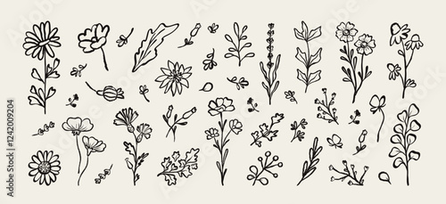 Set of blooming flowers hand drawn brush ink stroke. Floral plants drawing charcoal, pencil, chalk. Sketch silhouette flowers and leaves. Abstract vector illustration.
