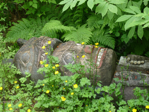 Totem pole being reclaimed by nature in lush forest photo