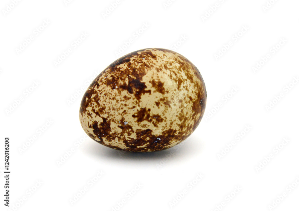 Obraz premium Quail eggs are isolated on a white background