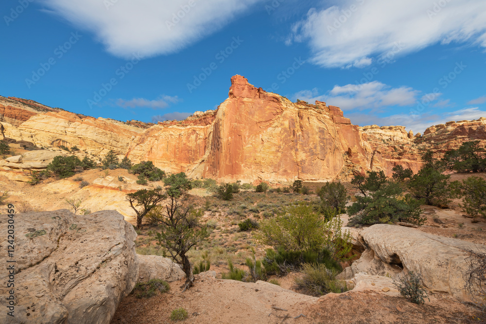 Fototapeta premium Color stock image of Capitol Reef National Park
