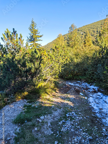 Autumn landscape of Rila Mountain, Bulgaria photo