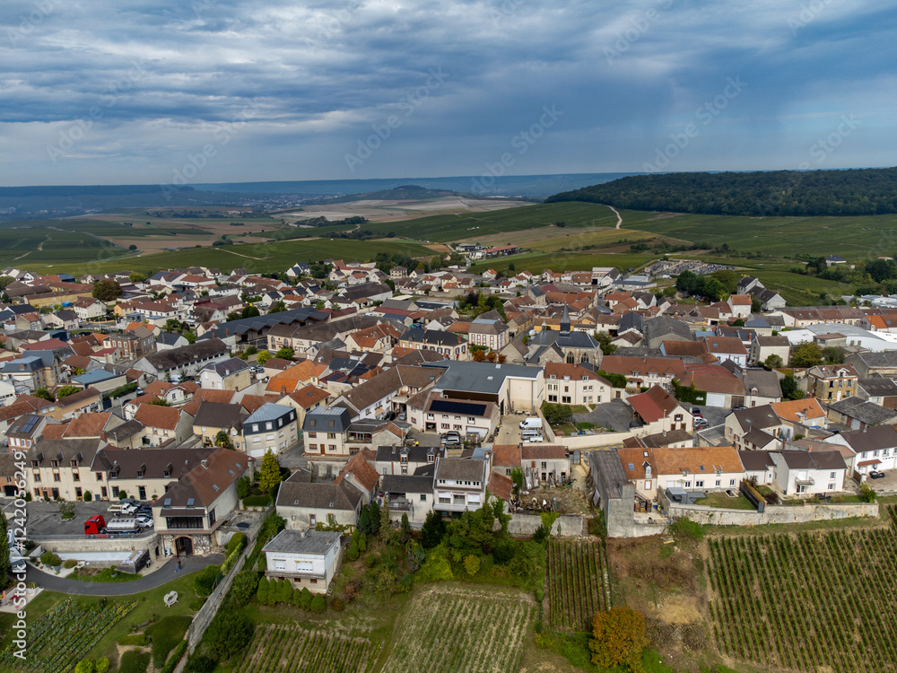 Fototapeta premium Aerial view on green grand cru vineyards near Cramant and Avize, region Champagne, France. Cultivation of white chardonnay wine grape on chalky soils of Cote des Blancs