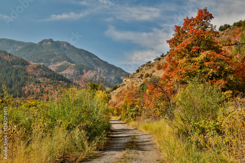 USA, Utah, Highway 89 Logan area in autumn colors with the canyon maple and gravel track photo