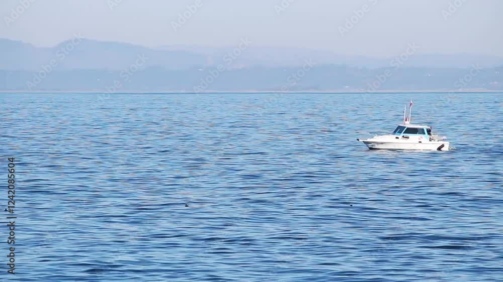 Motorboat And Birds Slowly Bobbing On Monterey Bay California With Haze Background
Motorboat And Birds Slowly Bobbing On Monterey Bay California With Haze Background