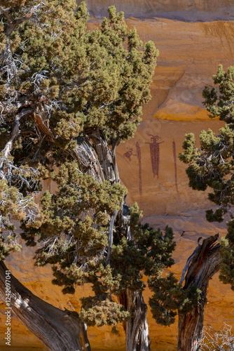 USA, Utah. Head of Sinbad Panel pictographs in San Rafael Swell Recreation Area. photo