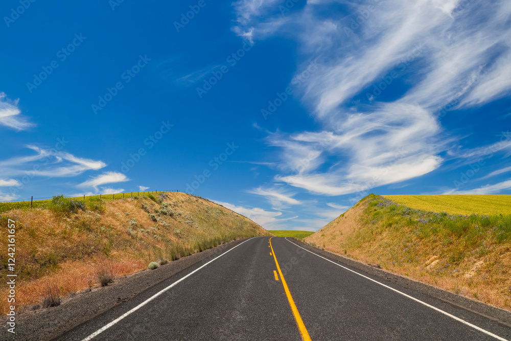 Fototapeta premium USA, Washington State, Palouse. Road running through canola field