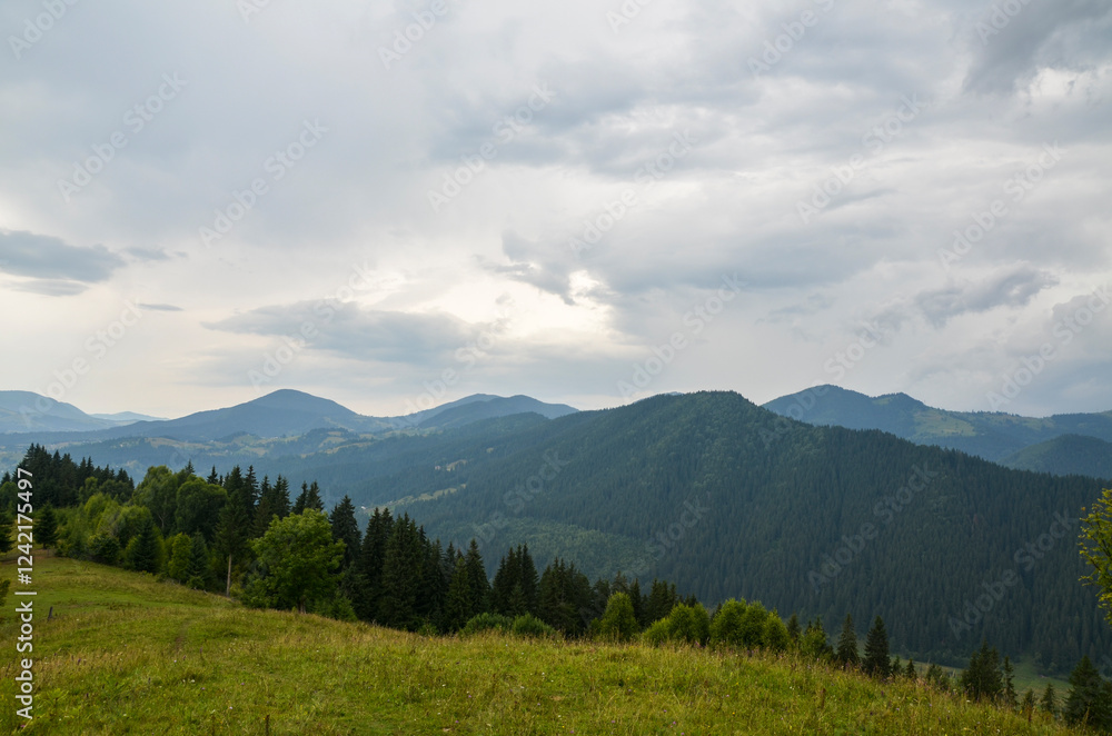 Peaceful view of a green mountainous region with surrounding forests under an overcast sky, perfect for representing tranquility and natural beauty. Carpathian Mountains, Ukraine Peaceful view of a green mountainous region with surrounding forests under an overcast sky, perfect for representing tranquility and natural beauty. Carpathian Mountains, Ukraine