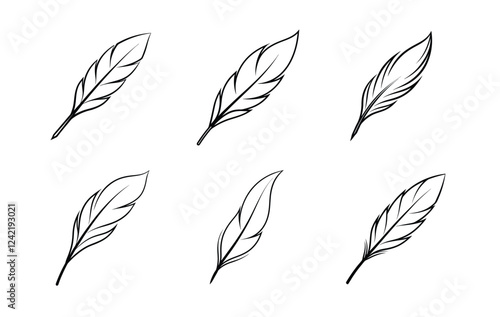 A collection of six stylized feather illustrations, presented in black ink on a plain white background.