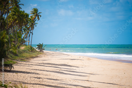 Fototapeta Naklejka Na Ścianę i Meble -  Pristine tropical beach with palm trees and turquoise waters