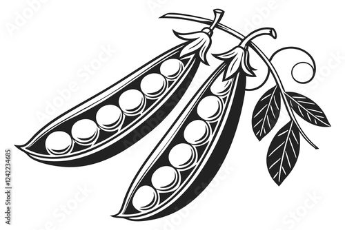 Peas black color line 