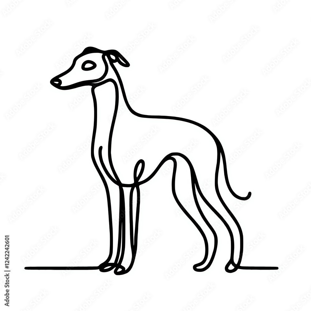 Fototapeta premium Whippet dog continuous line art drawing illustration 