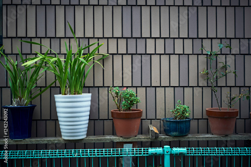 Plants on the side of a house. photo