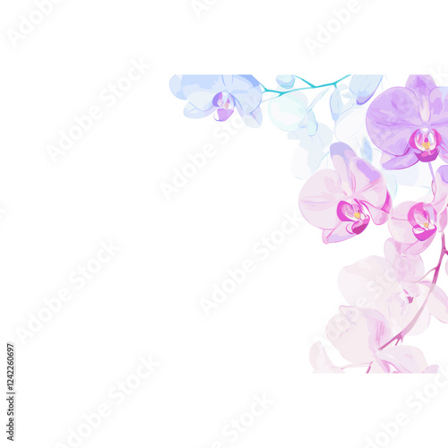 Orchid border illustration flowers pastel vector