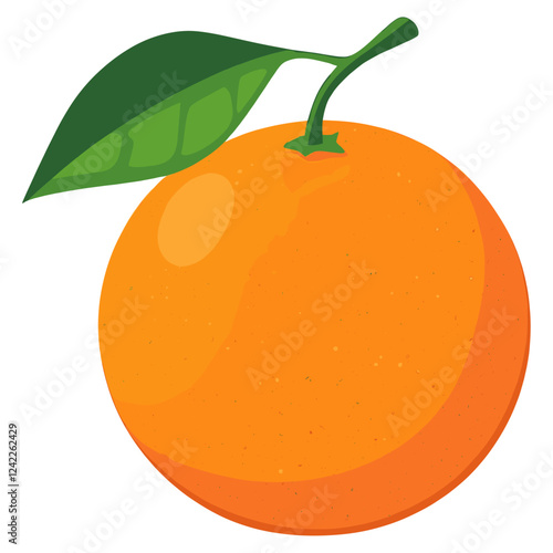 Orange illustration produce fruit vector
