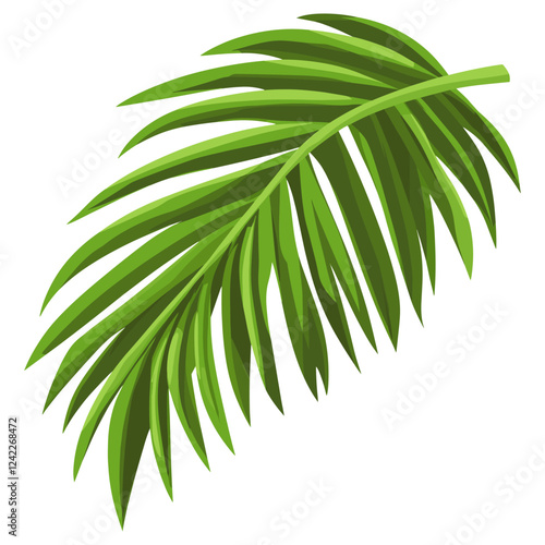 Coconut leaf illustration vector vector illustration vector