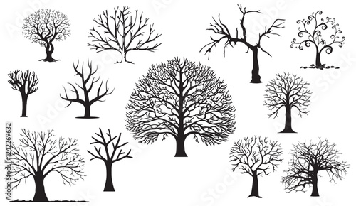 Collection of Ten Diverse Bare Tree Silhouettes: Stylized Winter Branches for Design Projects