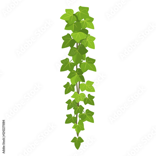Long ivy vine illustration design plant vector