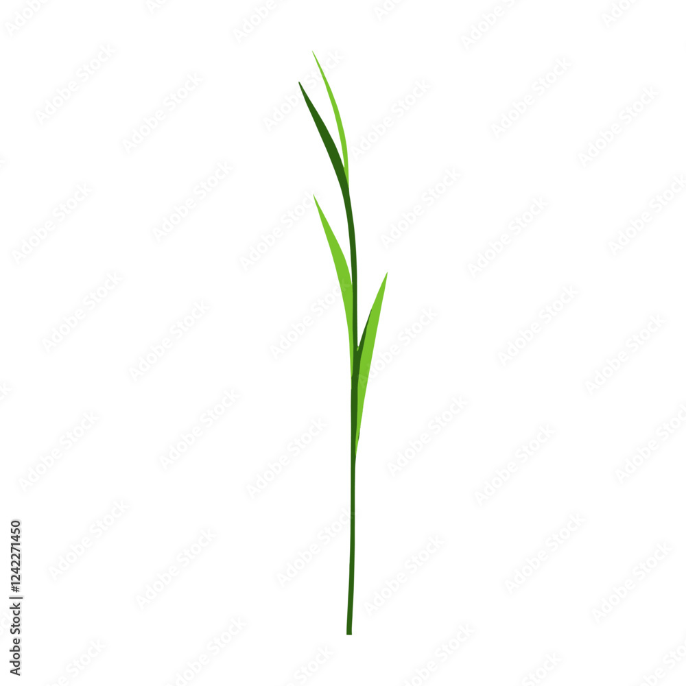 Flat vector of green grass plant illustration herbal vector Flat vector of green grass plant illustration herbal vector